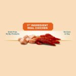 Golden Rewards Chicken Flavor Premium Dry Jerky Treats for All Dogs, 16 oz - Image 2